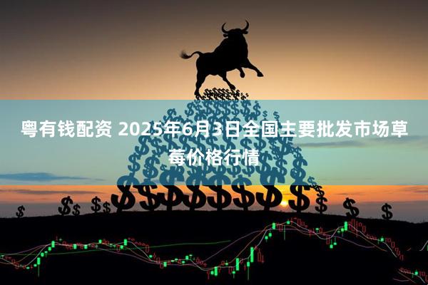 粤有钱配资 2025年6月3日全国主要批发市场草莓价格行情