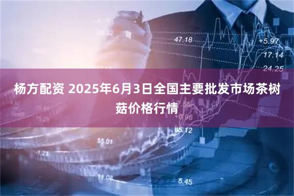 杨方配资 2025年6月3日全国主要批发市场茶树菇价格行情