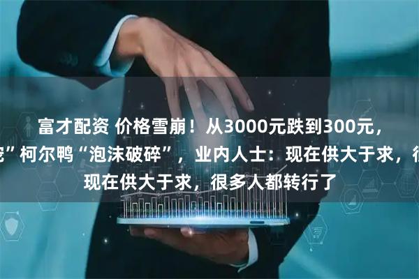 富才配资 价格雪崩！从3000元跌到300元，昔日“网红萌宠”柯尔鸭“泡沫破碎”，业内人士：现在供大于求，很多人都转行了