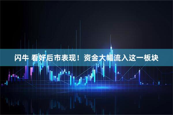 闪牛 看好后市表现！资金大幅流入这一板块