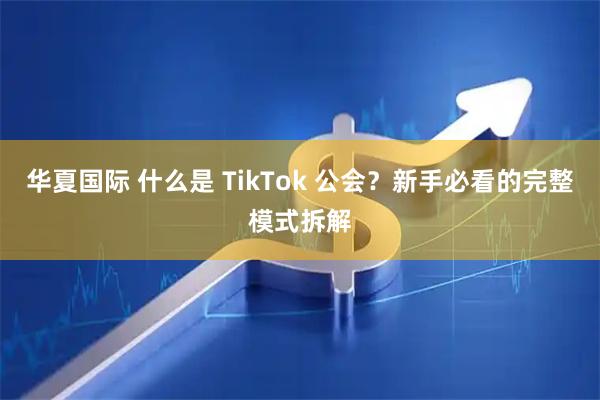 华夏国际 什么是 TikTok 公会？新手必看的完整模式拆解